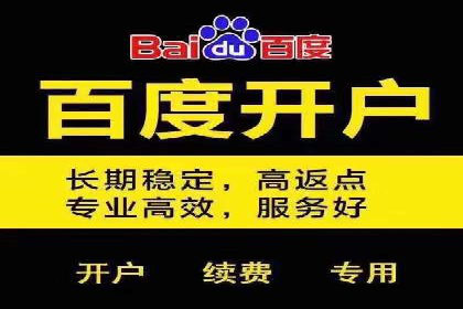 SEM服务在本地化营销中的应用案例